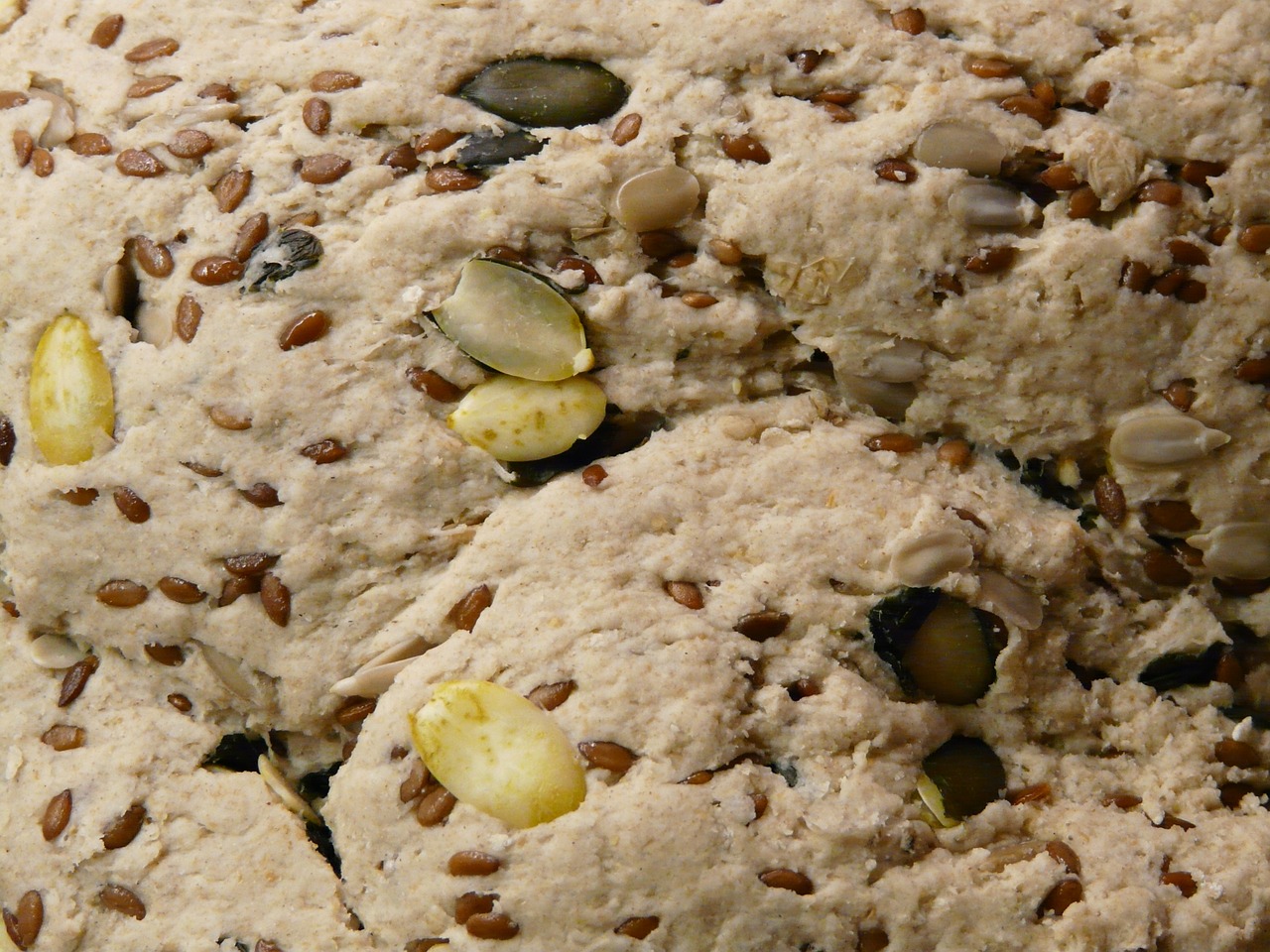 dough grains ingredients free photo