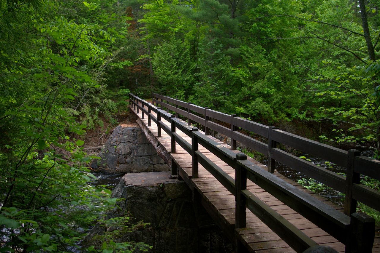 doughboy trail foot bridge  bridge  color free photo