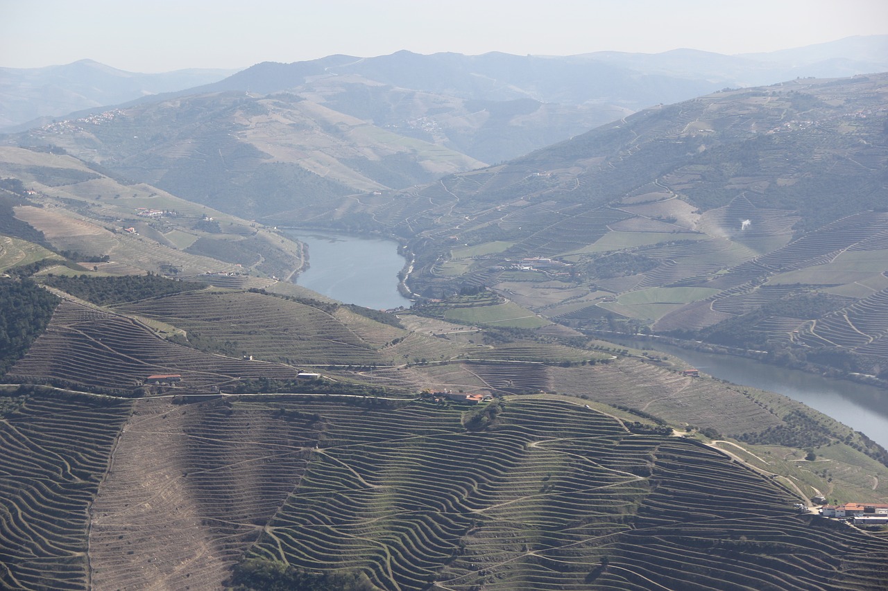 douro wine portugal free photo