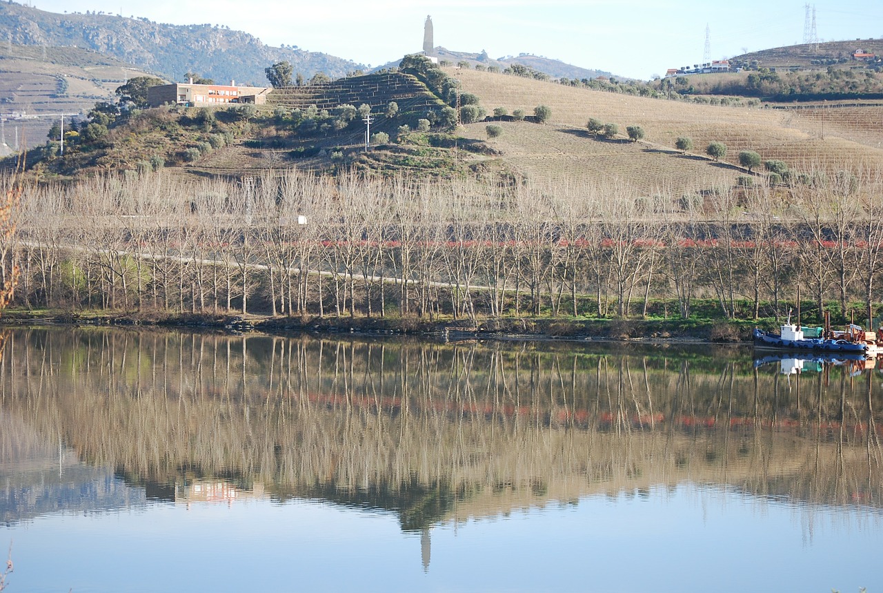 douro river régua river free photo