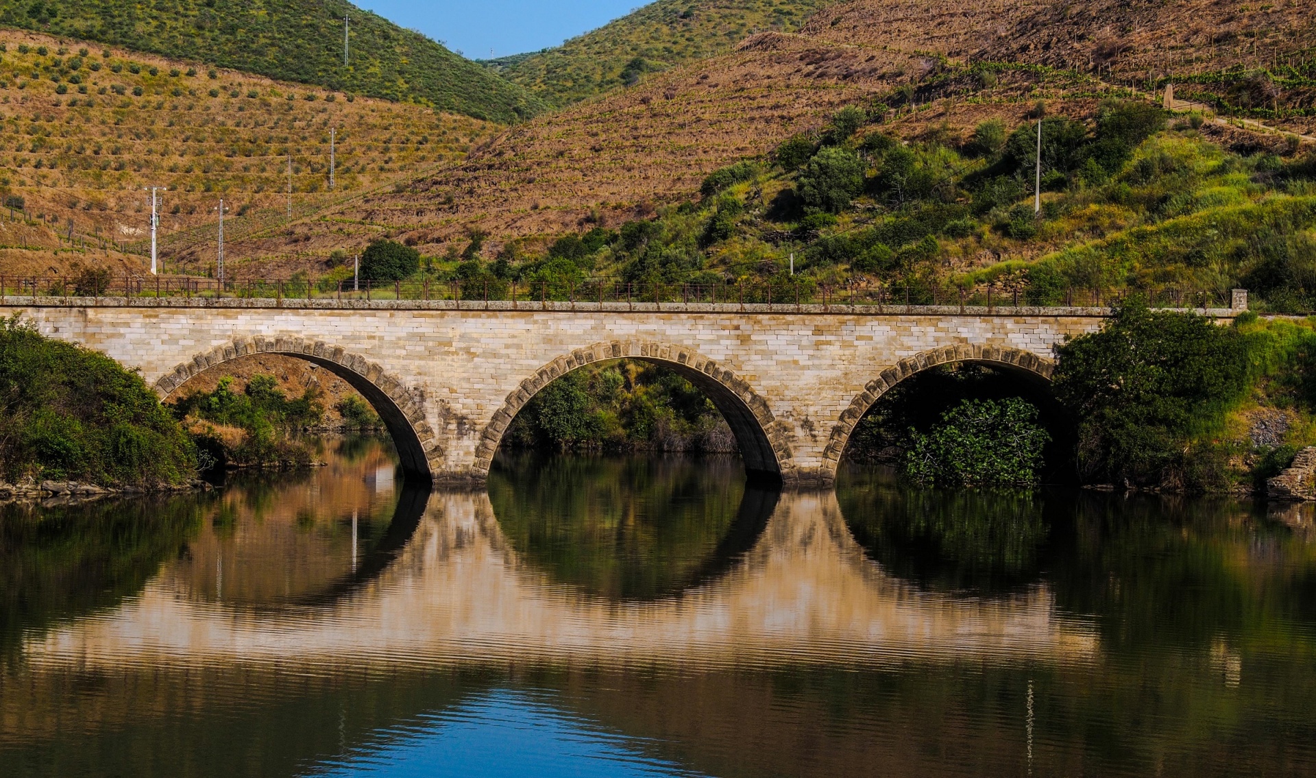 bridge douro river landscape free photo