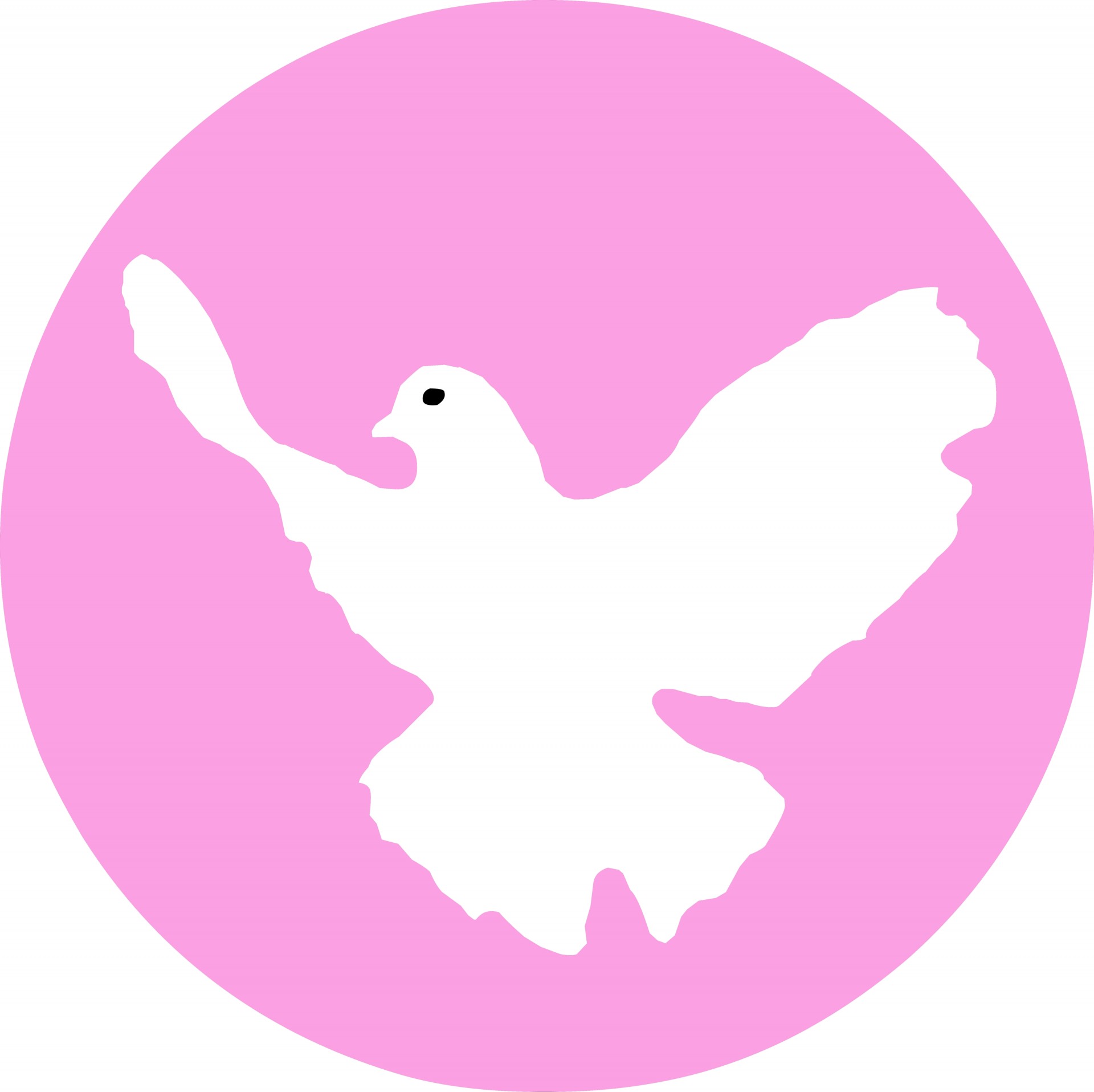 pink dove isolated free photo