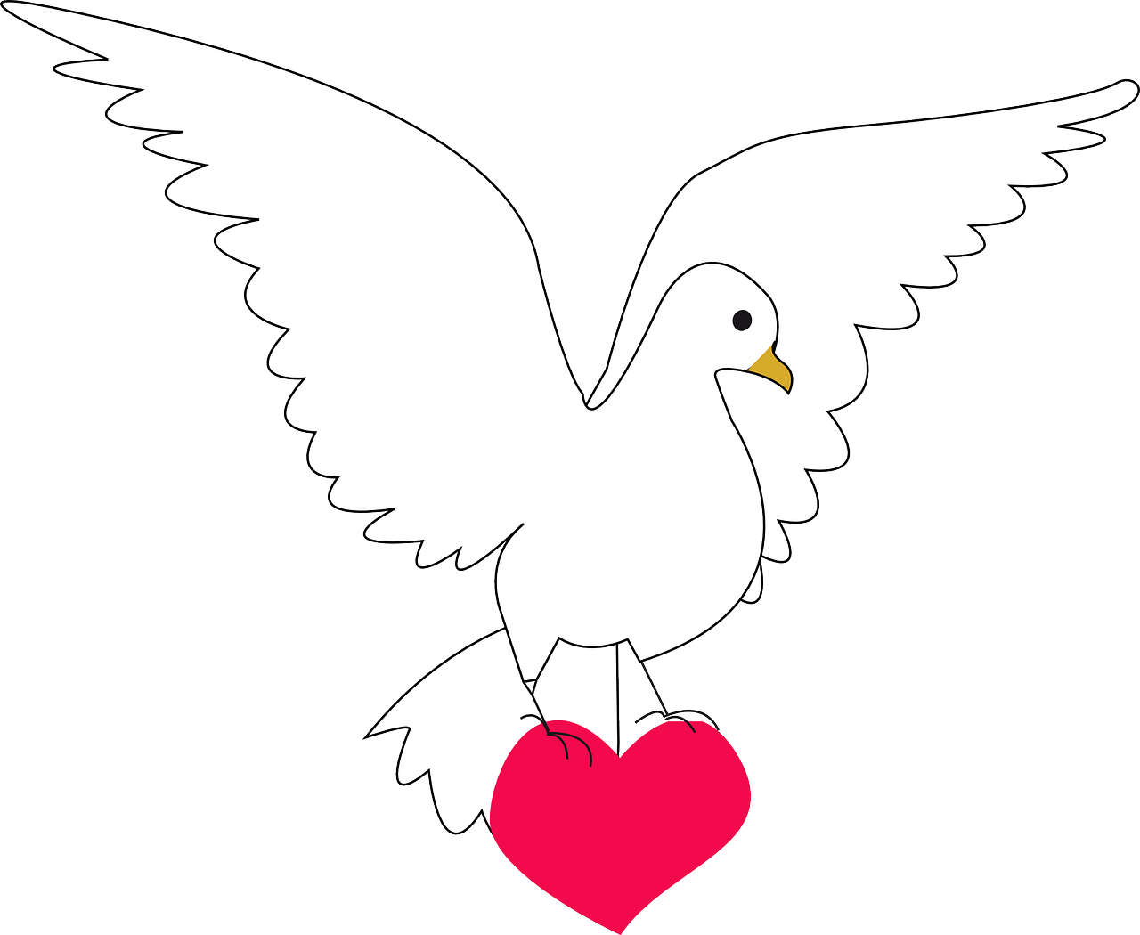 dove heart amour free photo