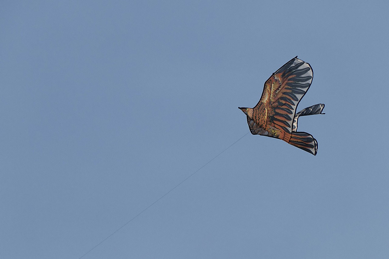 dove sky birds free photo