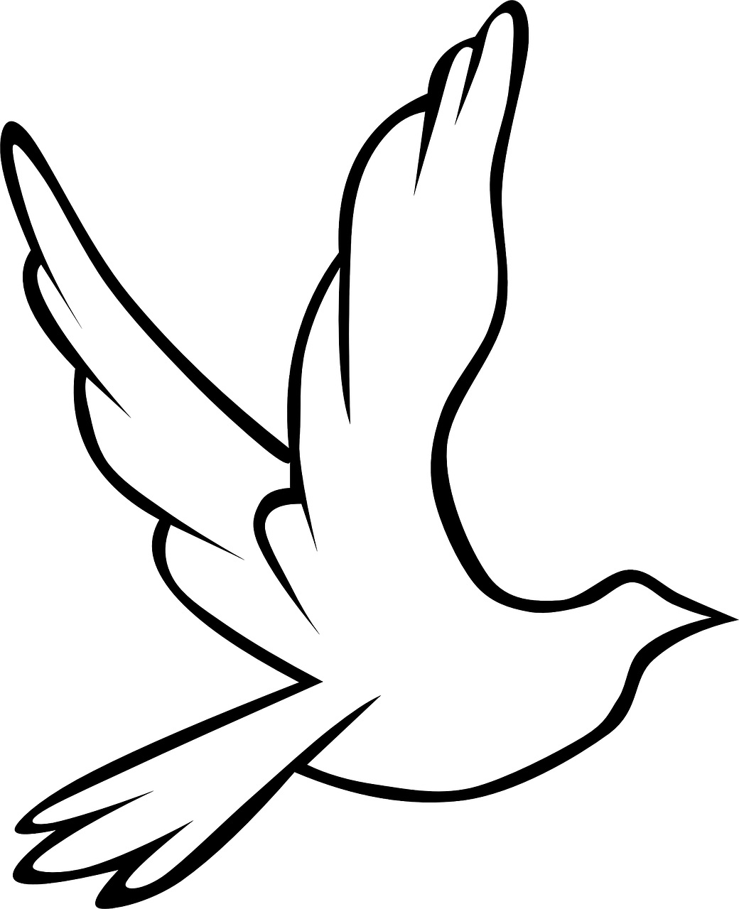 dove bird symbol free photo