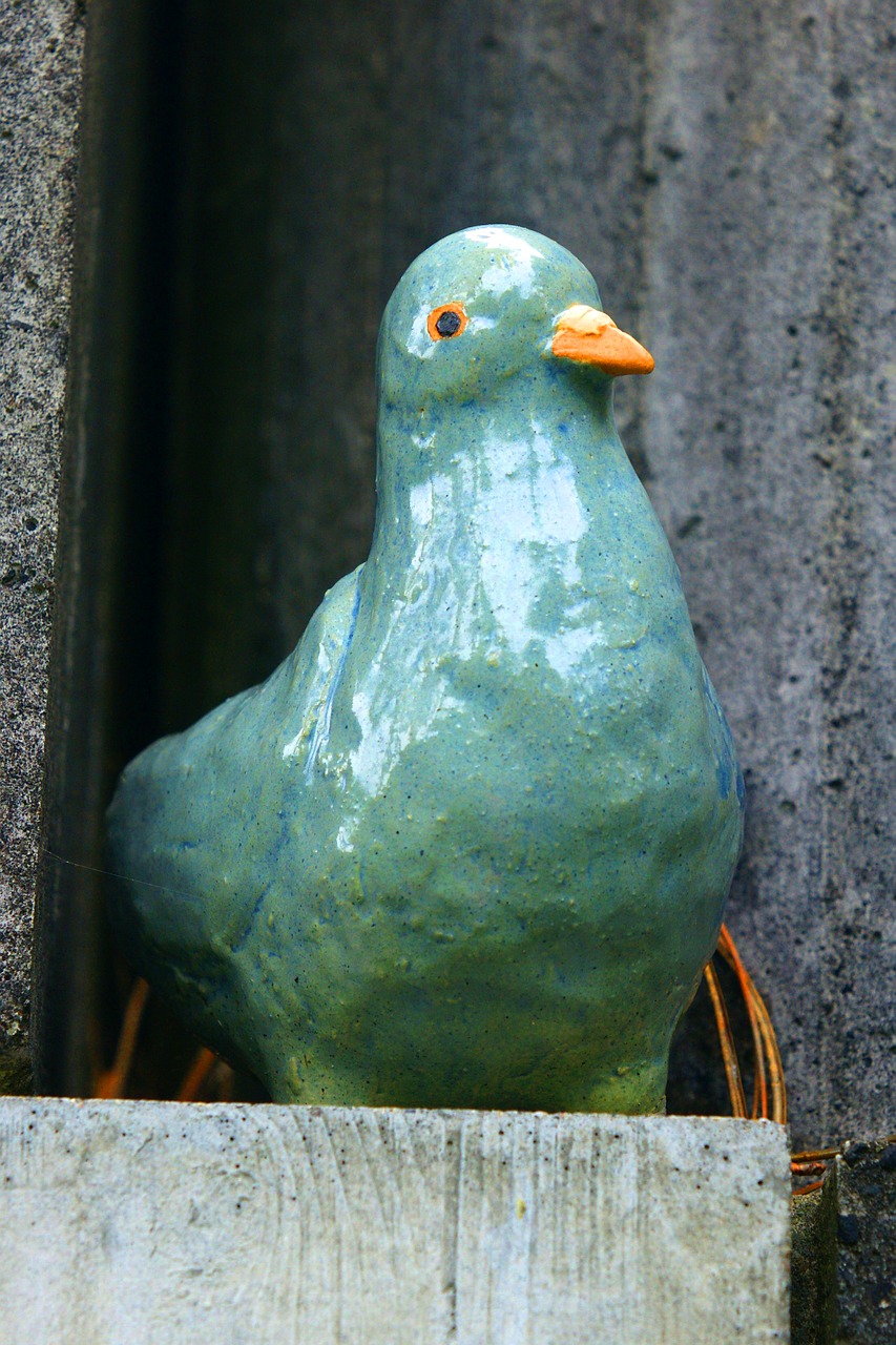 dove deco bird free photo