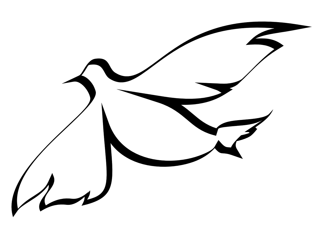 dove spirit holy free photo