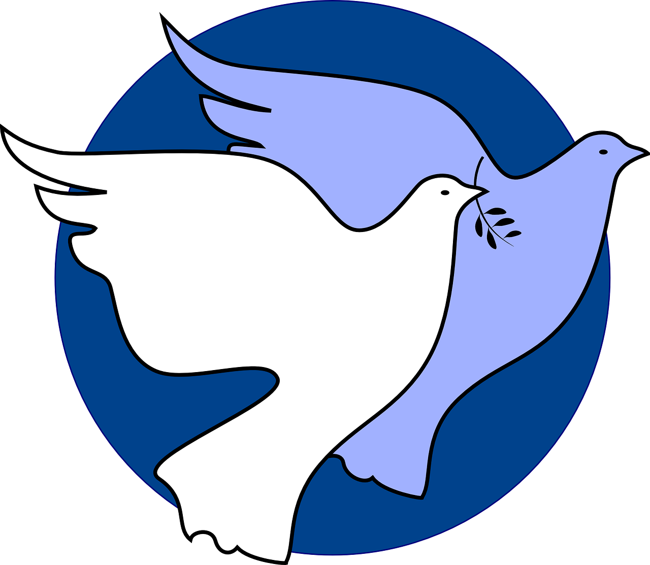 dove peace unity free photo
