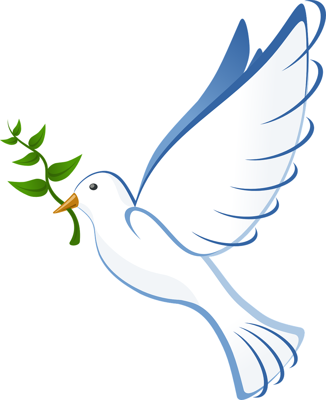 dove,flying,peace,olive,branch,symbol,pigeon,wings,isolated,free vector graphics,free pictures, free photos, free images, royalty free, free illustrations, public domain