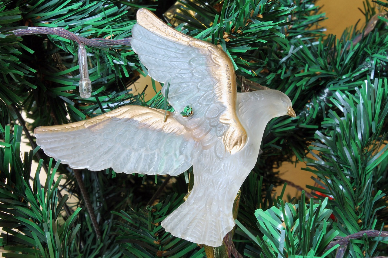 dove christmas ornament free photo