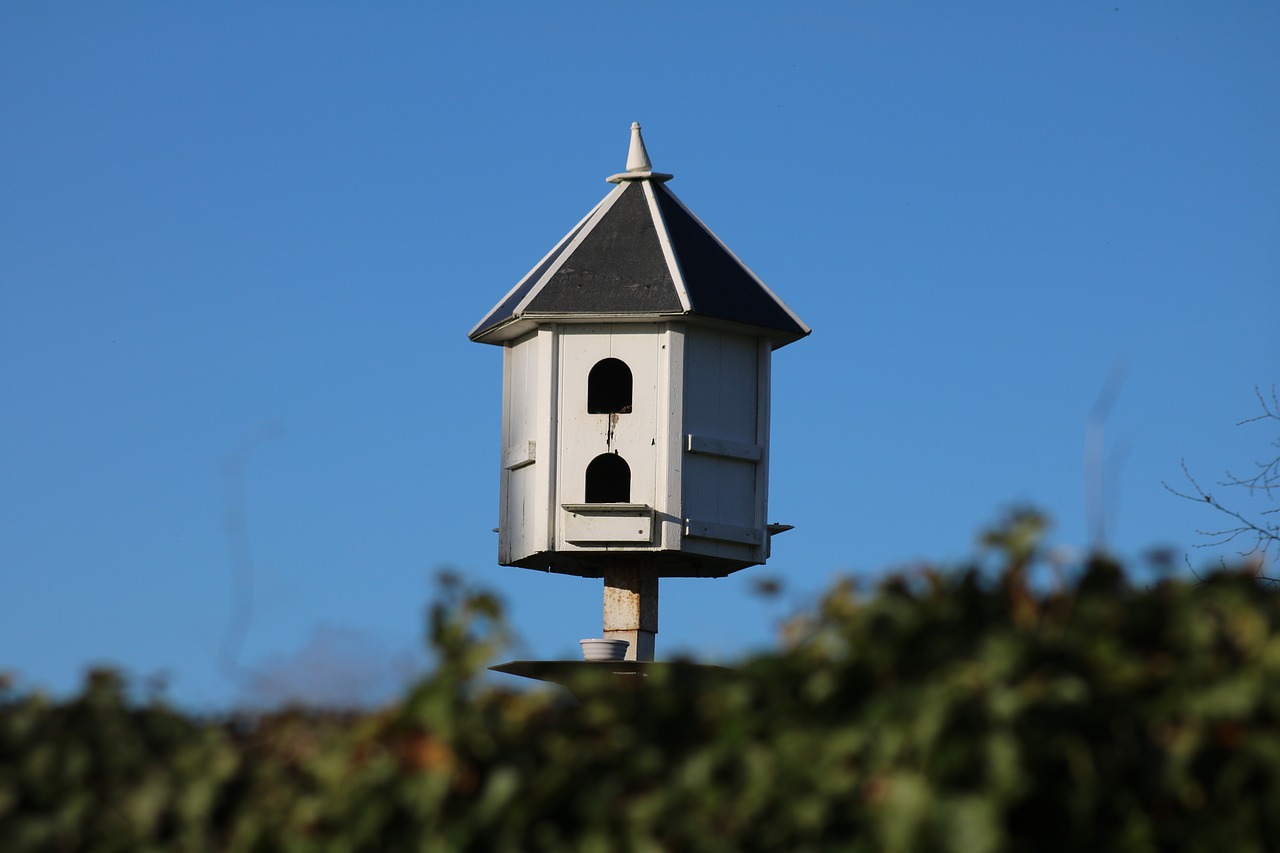 dovecote  birdhouse  dove free photo