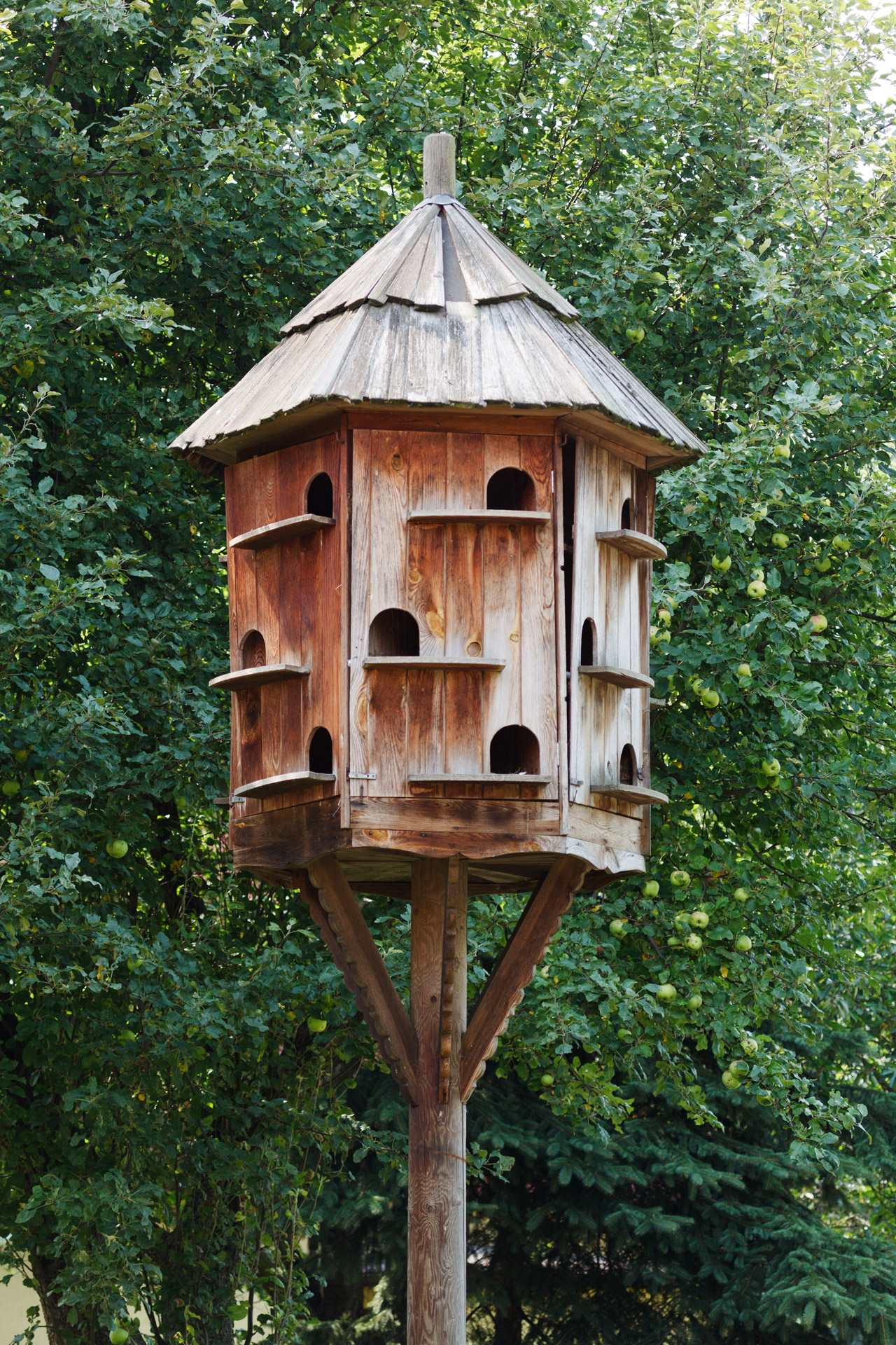birdhouse box brown free photo