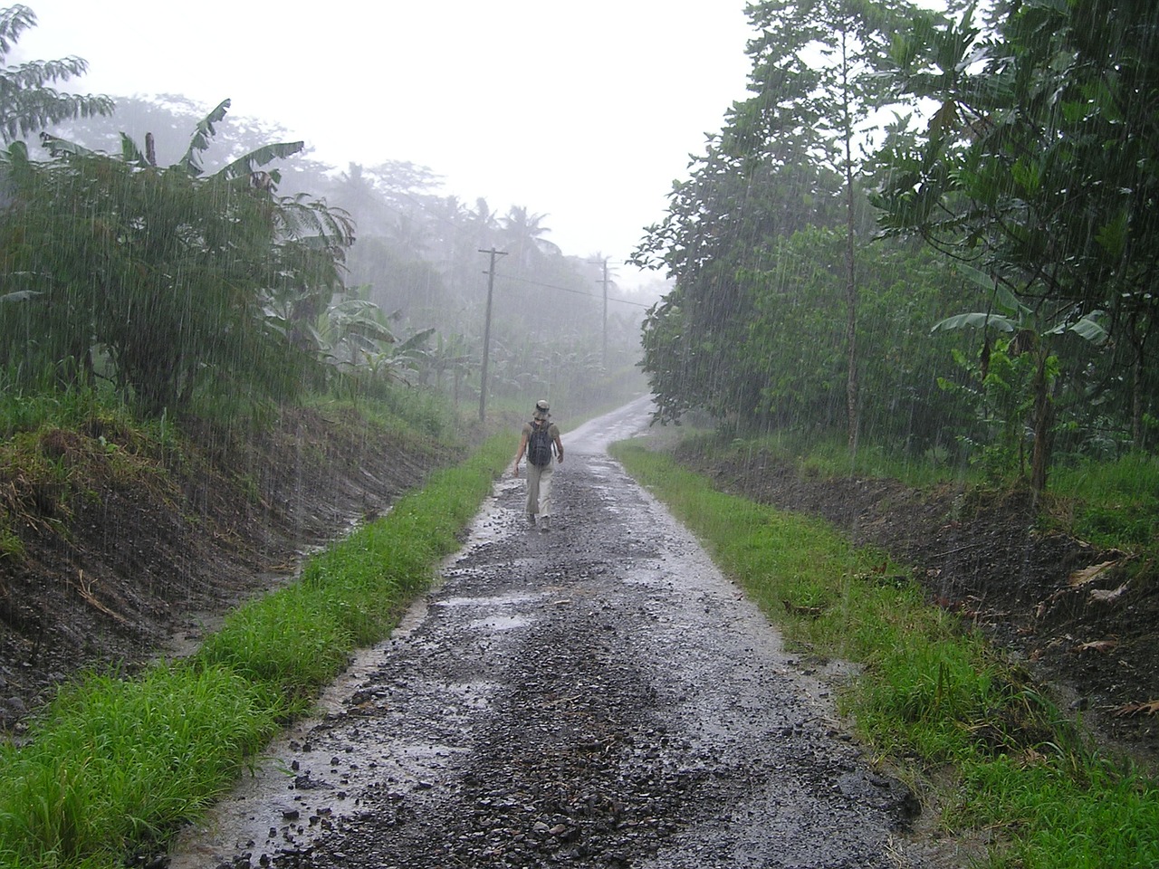 downpour rainy season samoa free photo