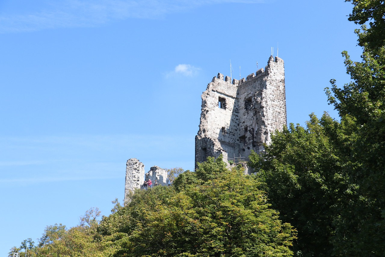 drachenfels  germany  königswinter free photo