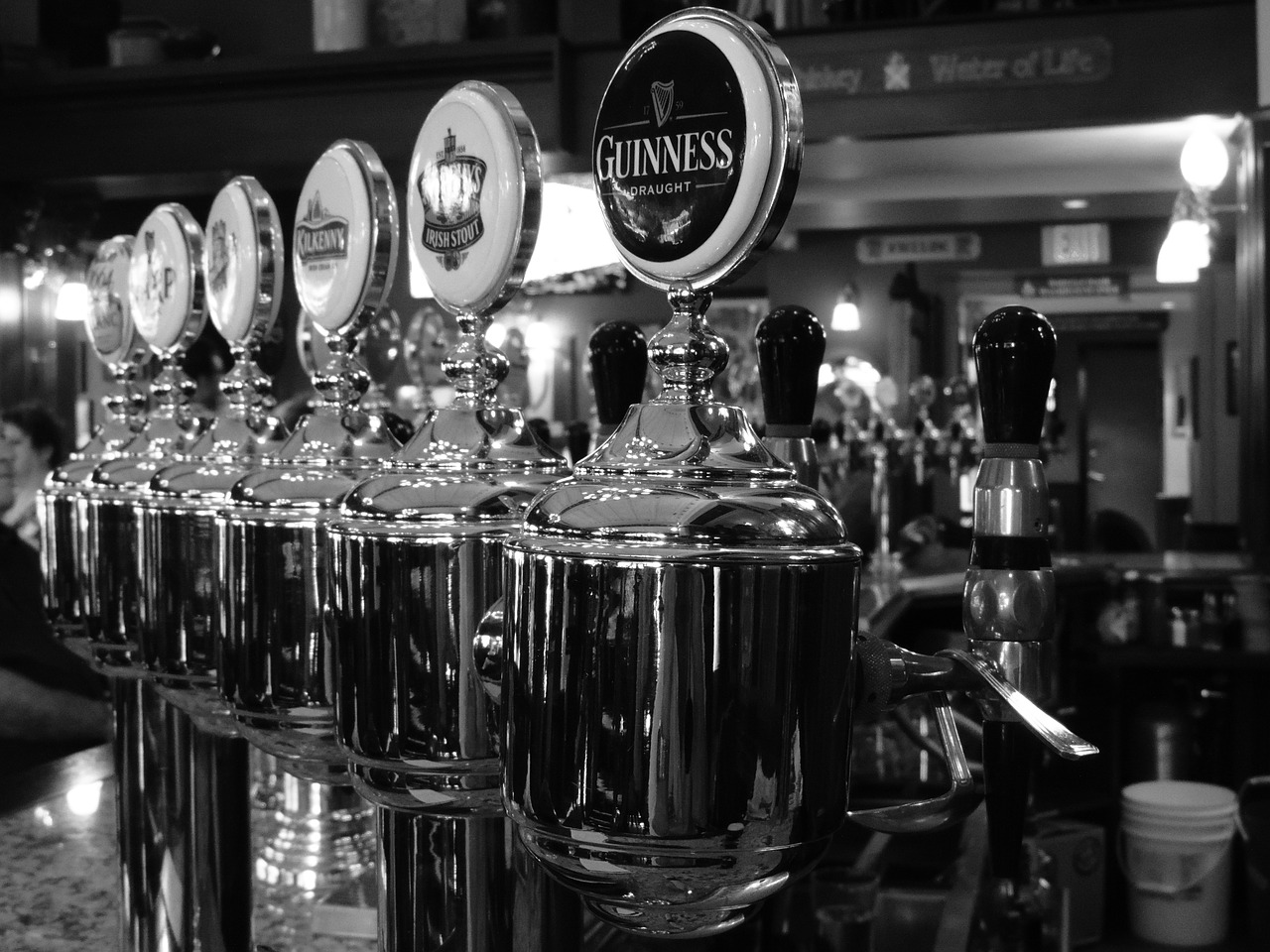 draft beer bar pub free photo