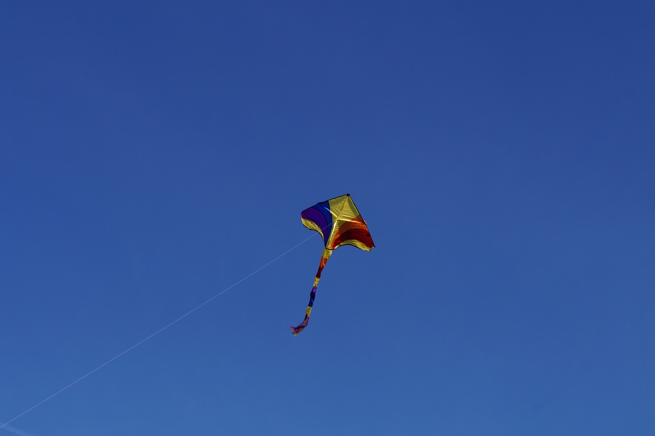 dragon kite flying kites rise free photo