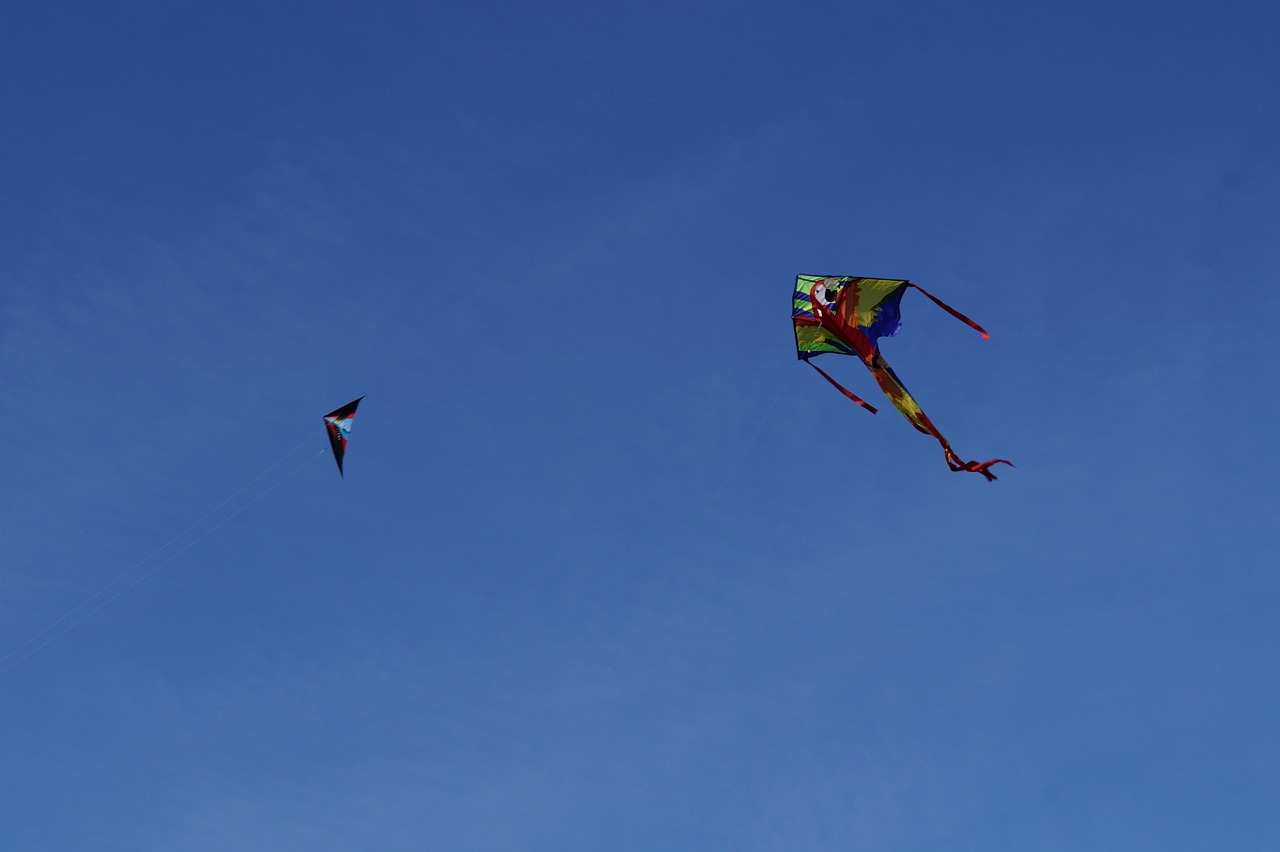 dragon kite flying kites rise free photo