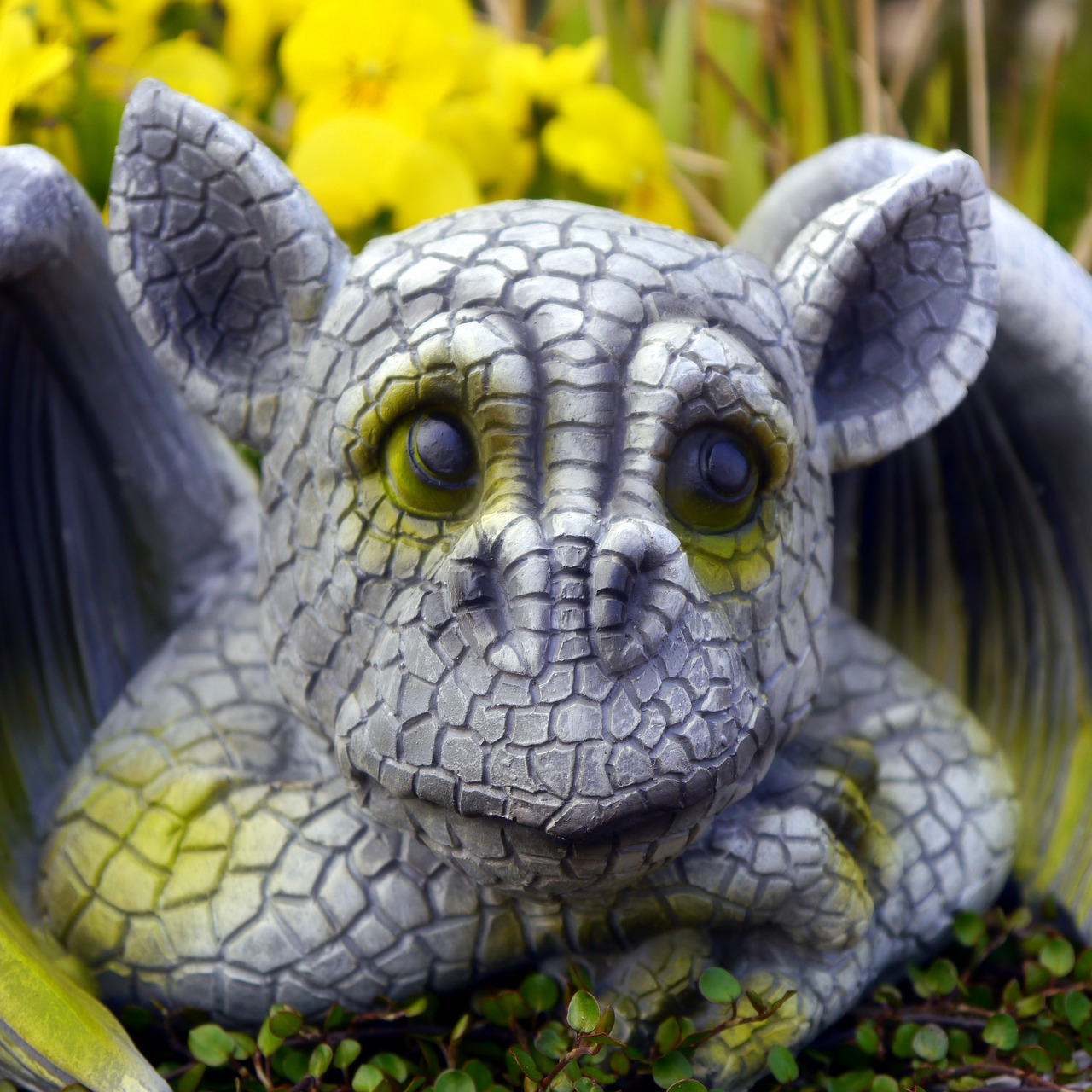 dragon figure garden free photo