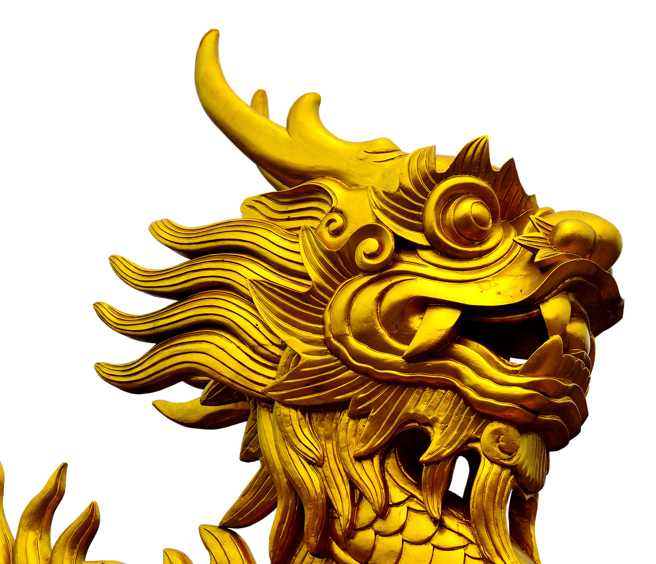 Dragon,gold,golden dragon,dragon's head,asia - free image from needpix.com