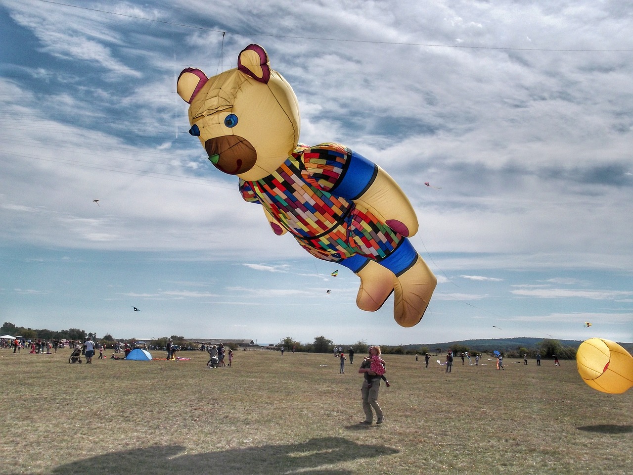 dragon kite flying meadow free photo