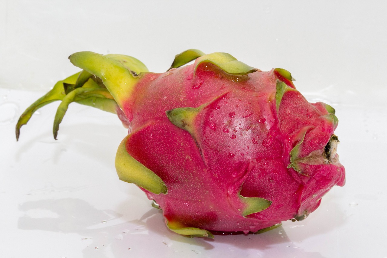 dragon fruit food free photo