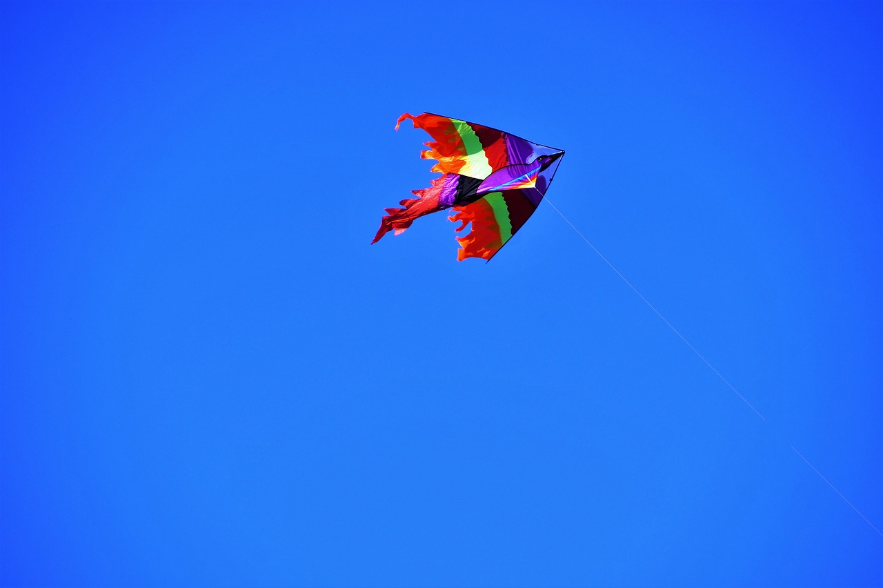 dragon  flying  kite free photo