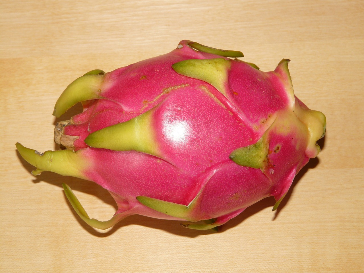 dragon fruit pitahaya pitaya free photo