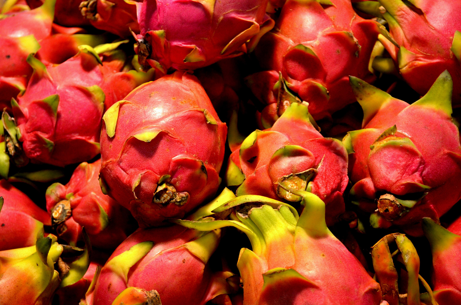 dragon fruit fruit food free photo