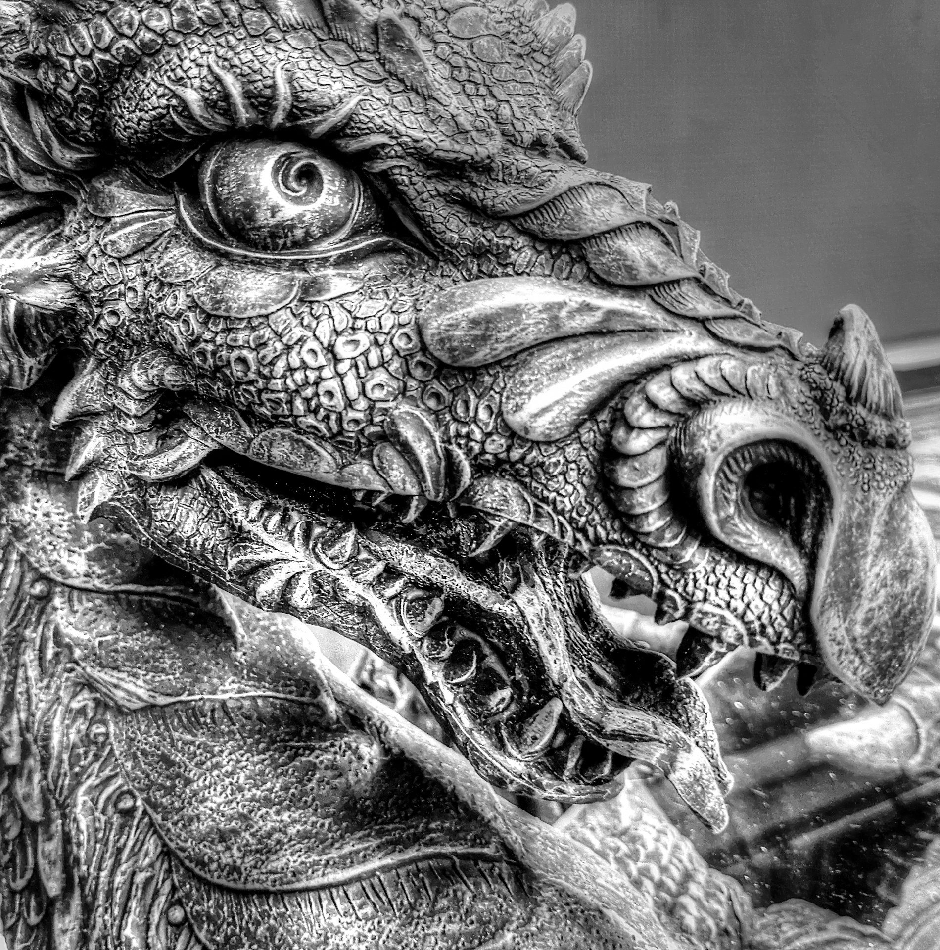 dragon dragons black white free photo