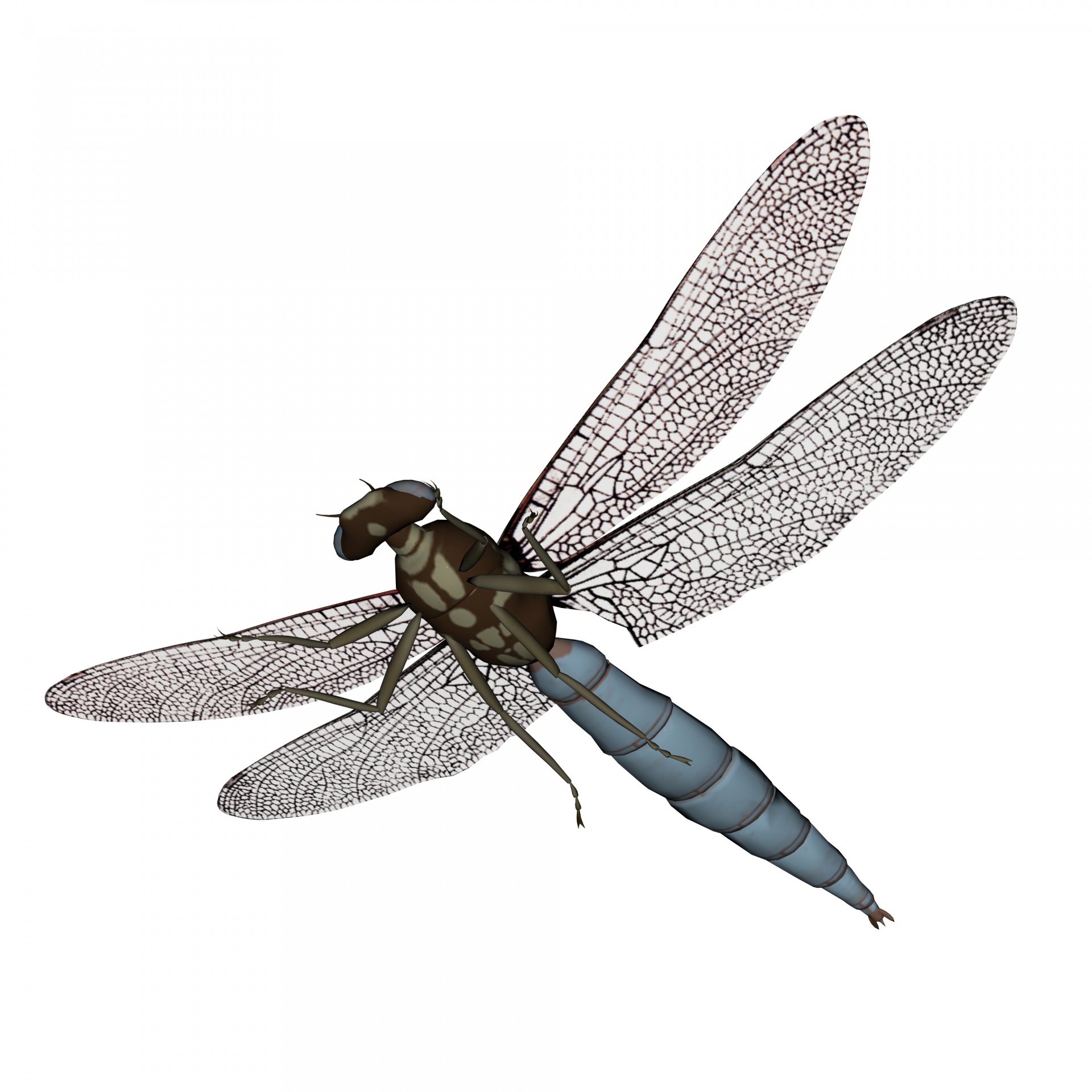 drawing 3d dragonfly free photo