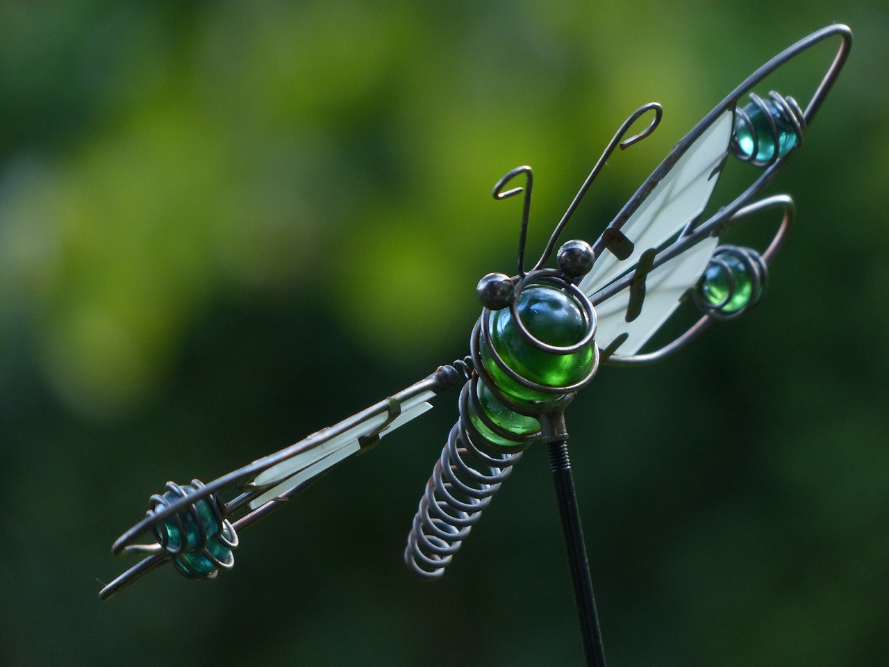 dragonfly wire glass free photo