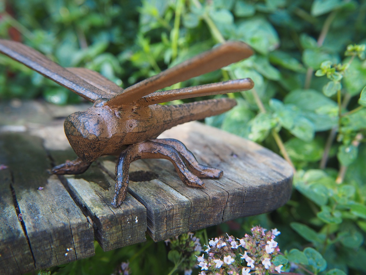 dragonfly cast iron garden free photo