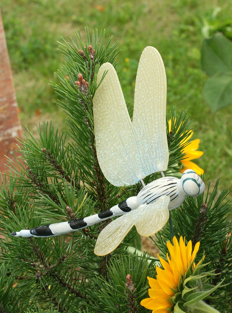dragonfly contemplative cemetery free photo