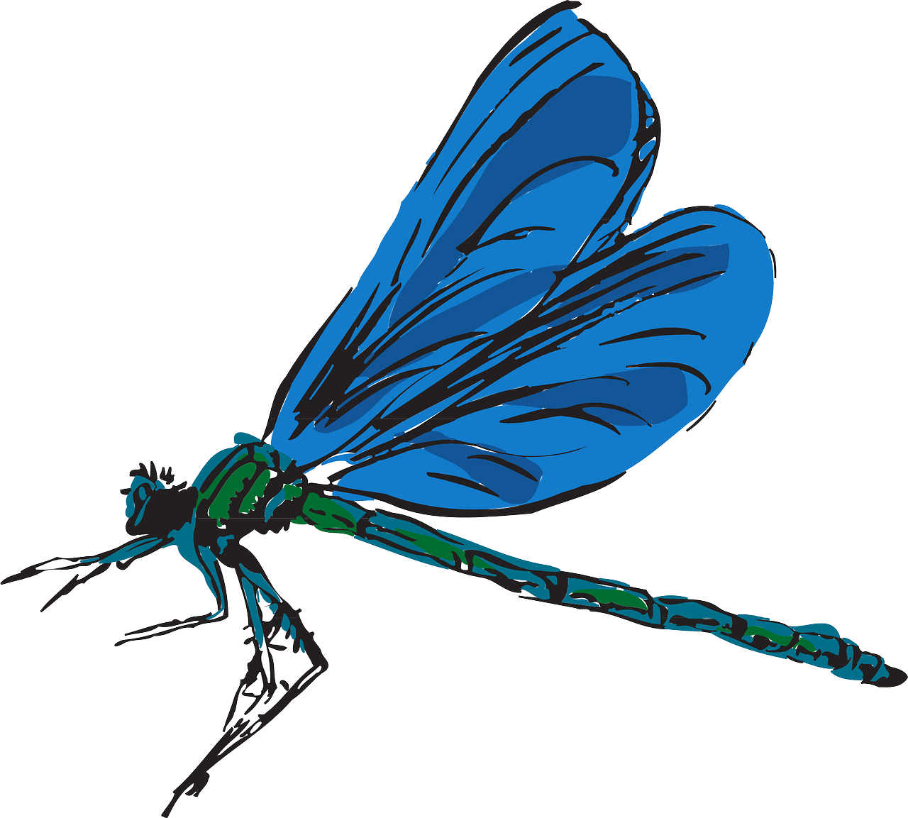Dragonfly,flying,wings,insect,fly - free image from