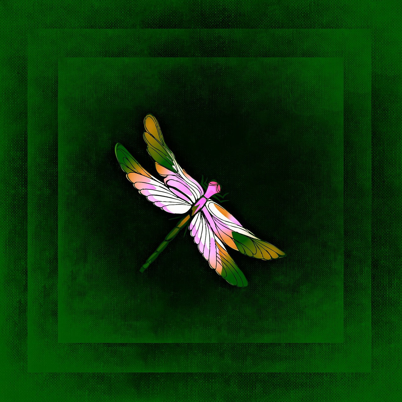 dragonfly frame image free photo