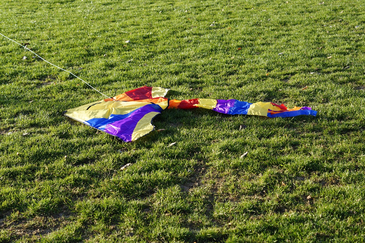 dragons kite flying sky free photo