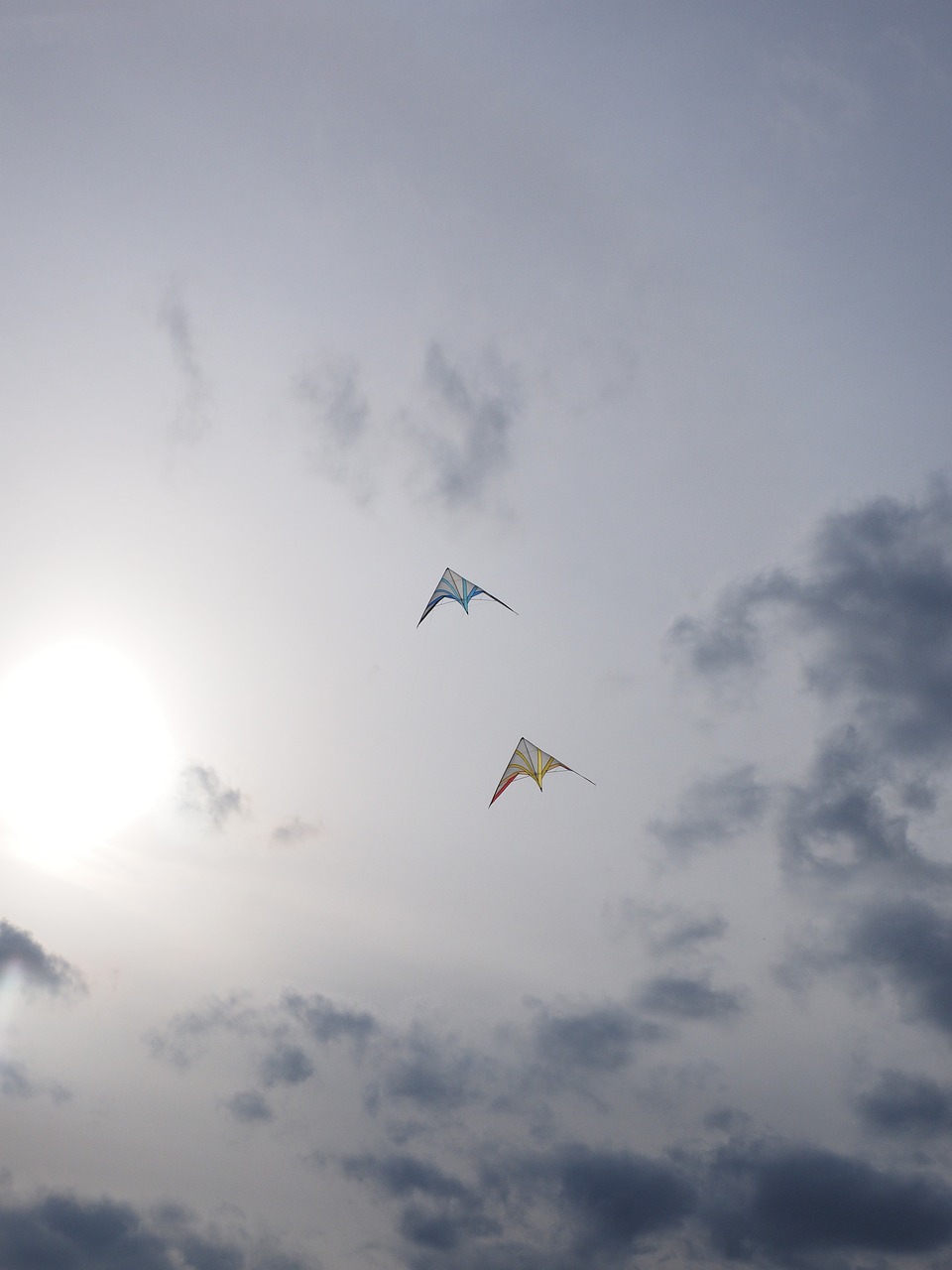 dragons dragon fly kite flying free photo