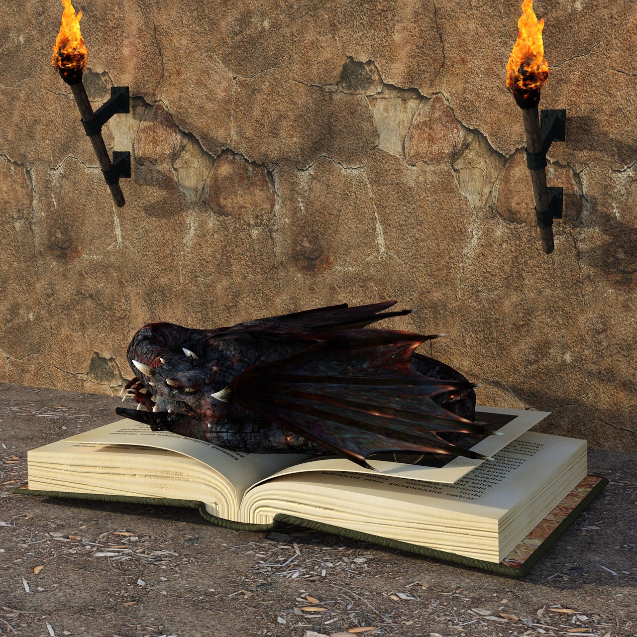 dragons  book  torches free photo