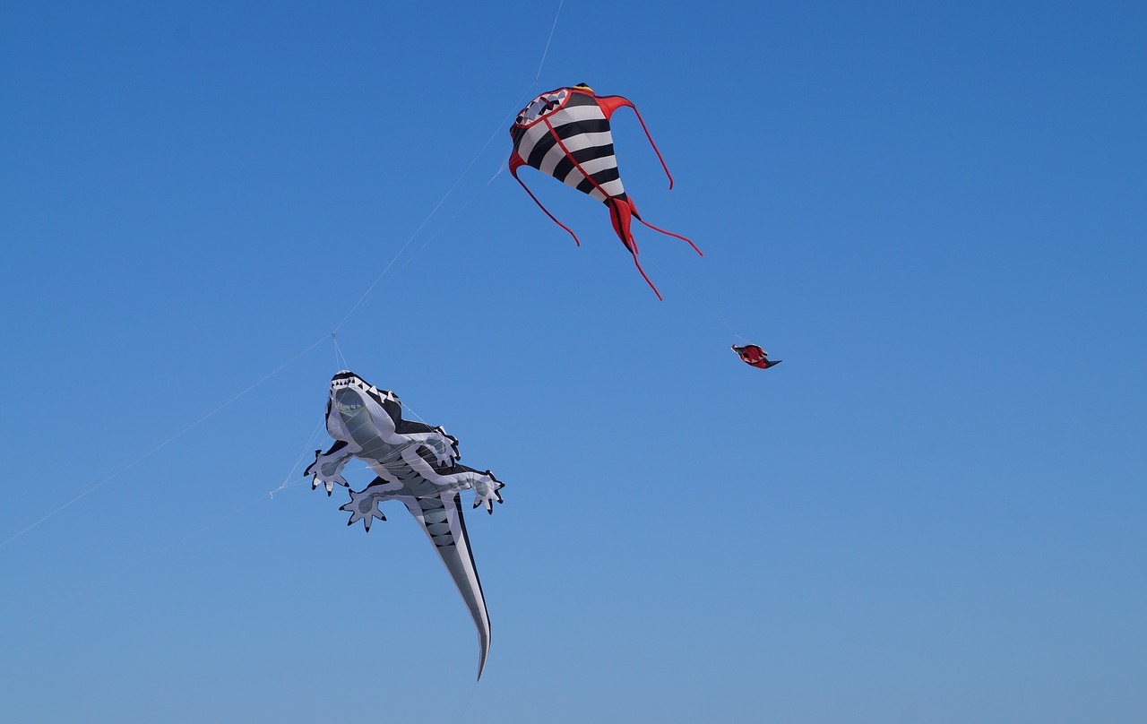 dragons  kite  air free photo