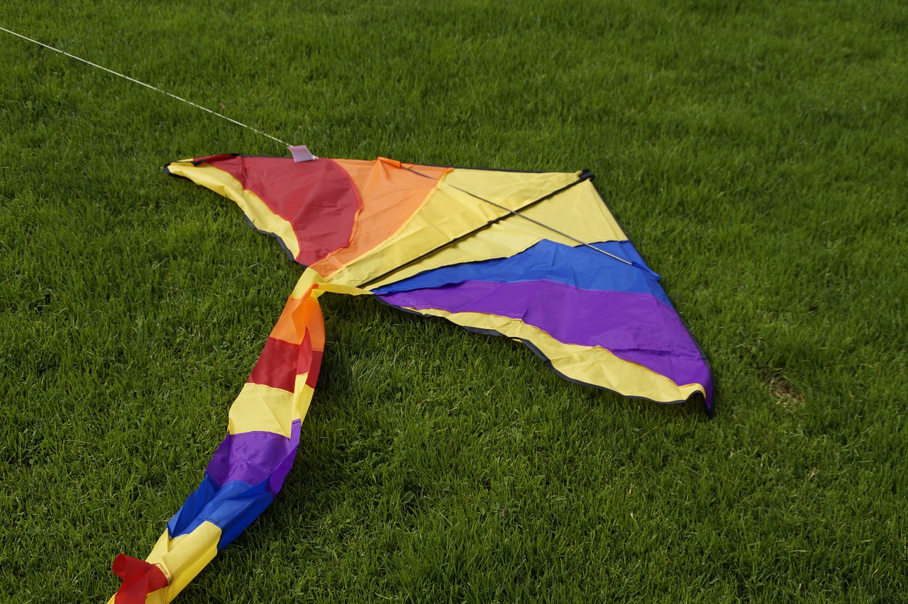 dragons colorful kites rise free photo