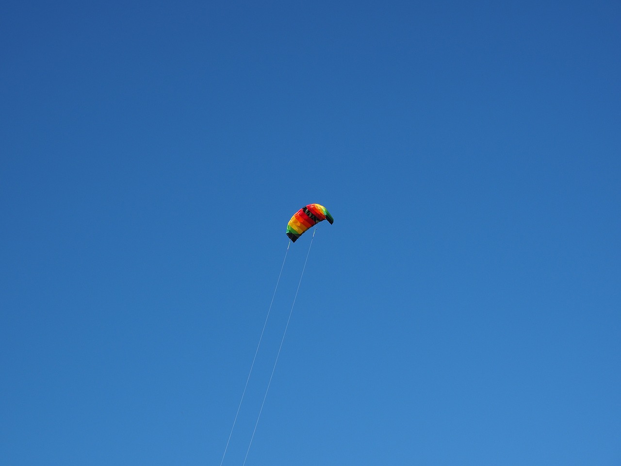 dragons kite kite flying free photo