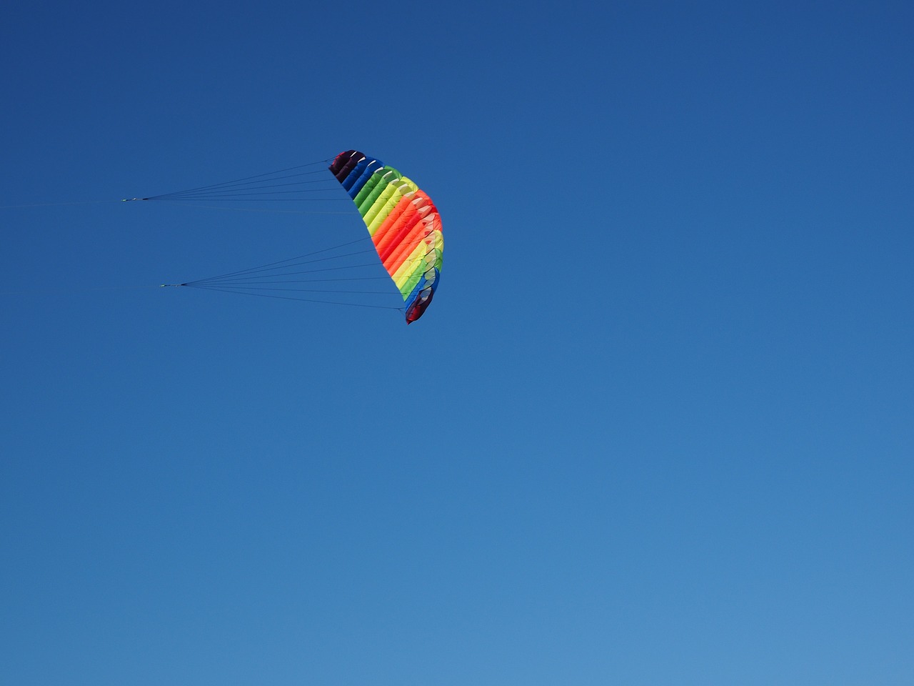 dragons kite kite flying free photo