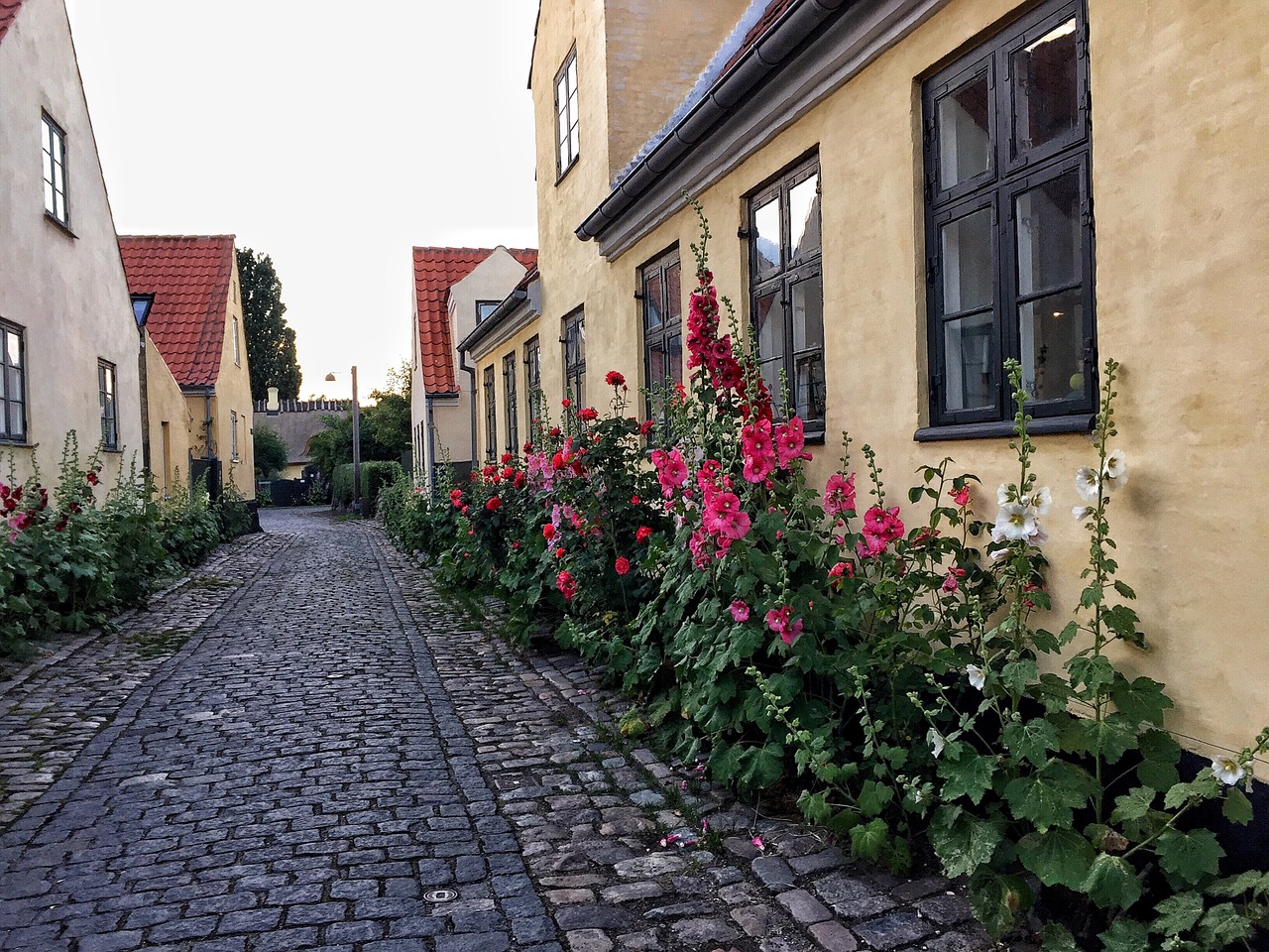 dragør paving stones denmark free photo