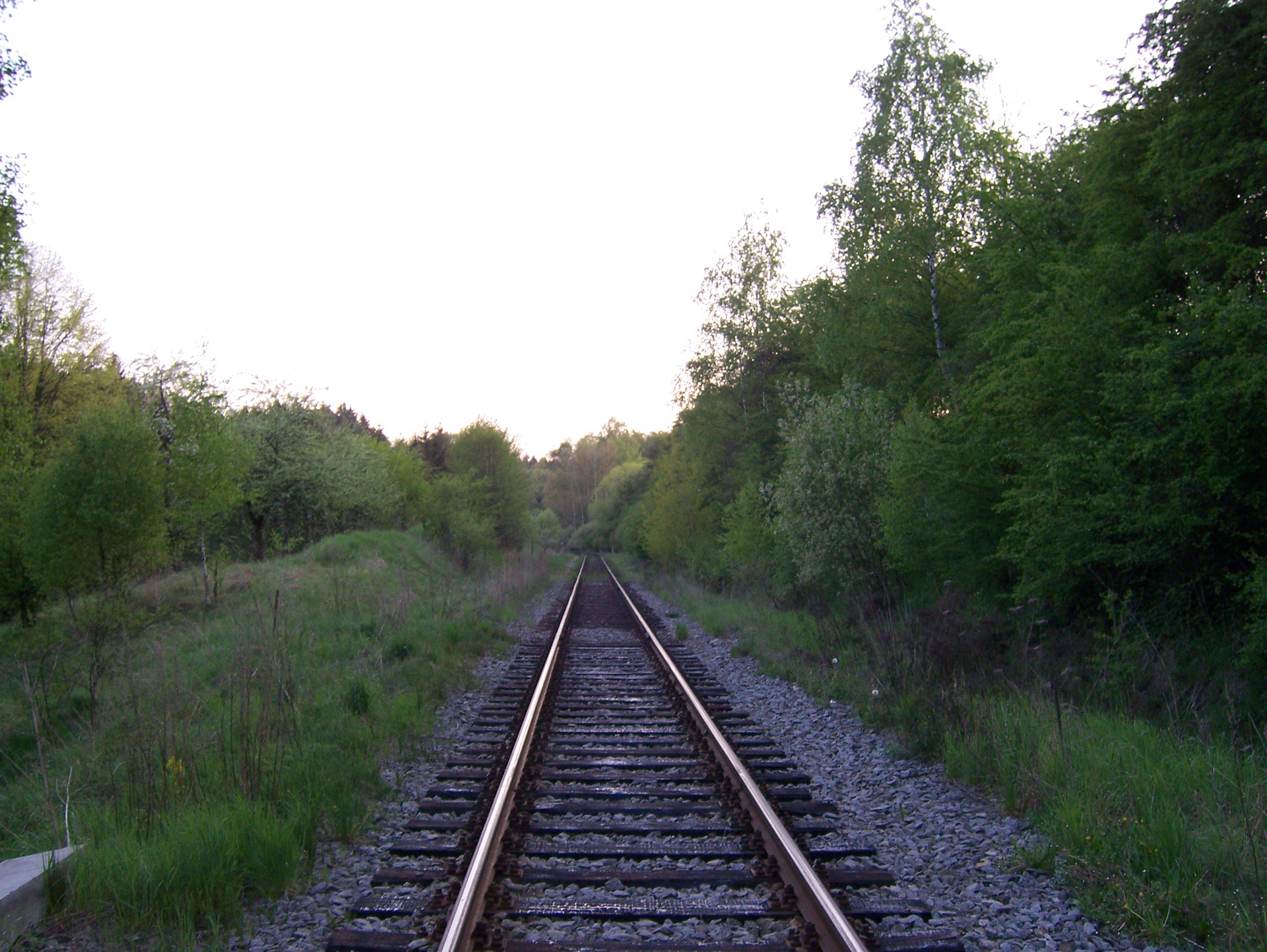 track train track free photo