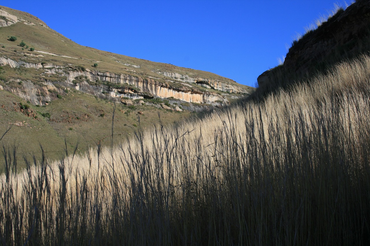 drakensberg mountains grass veld free photo