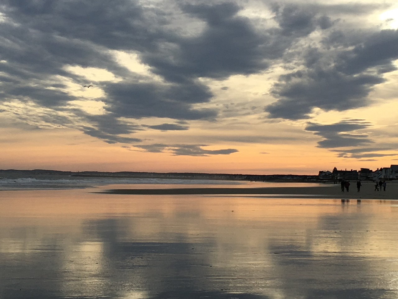 drake's beach maine coast sunset free photo