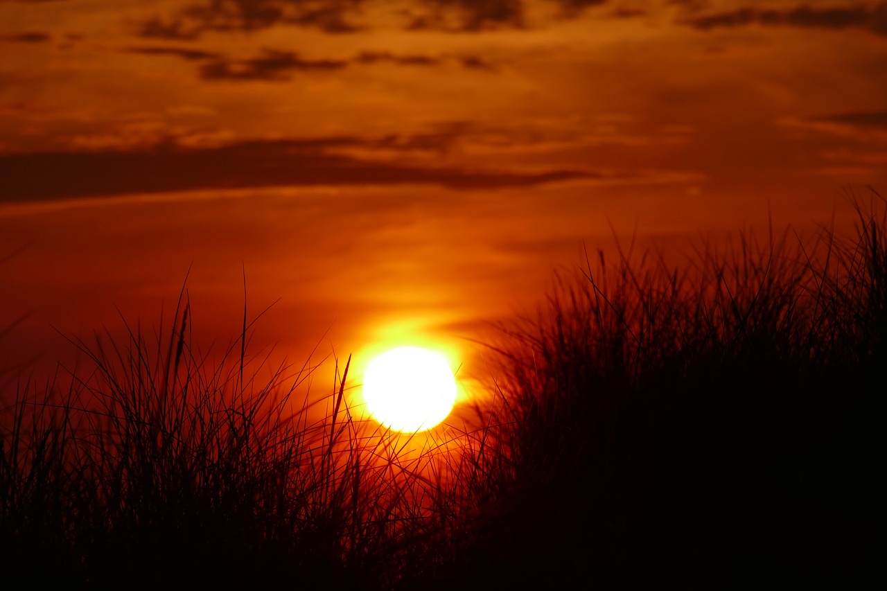 dramatic  sunset  dune free photo
