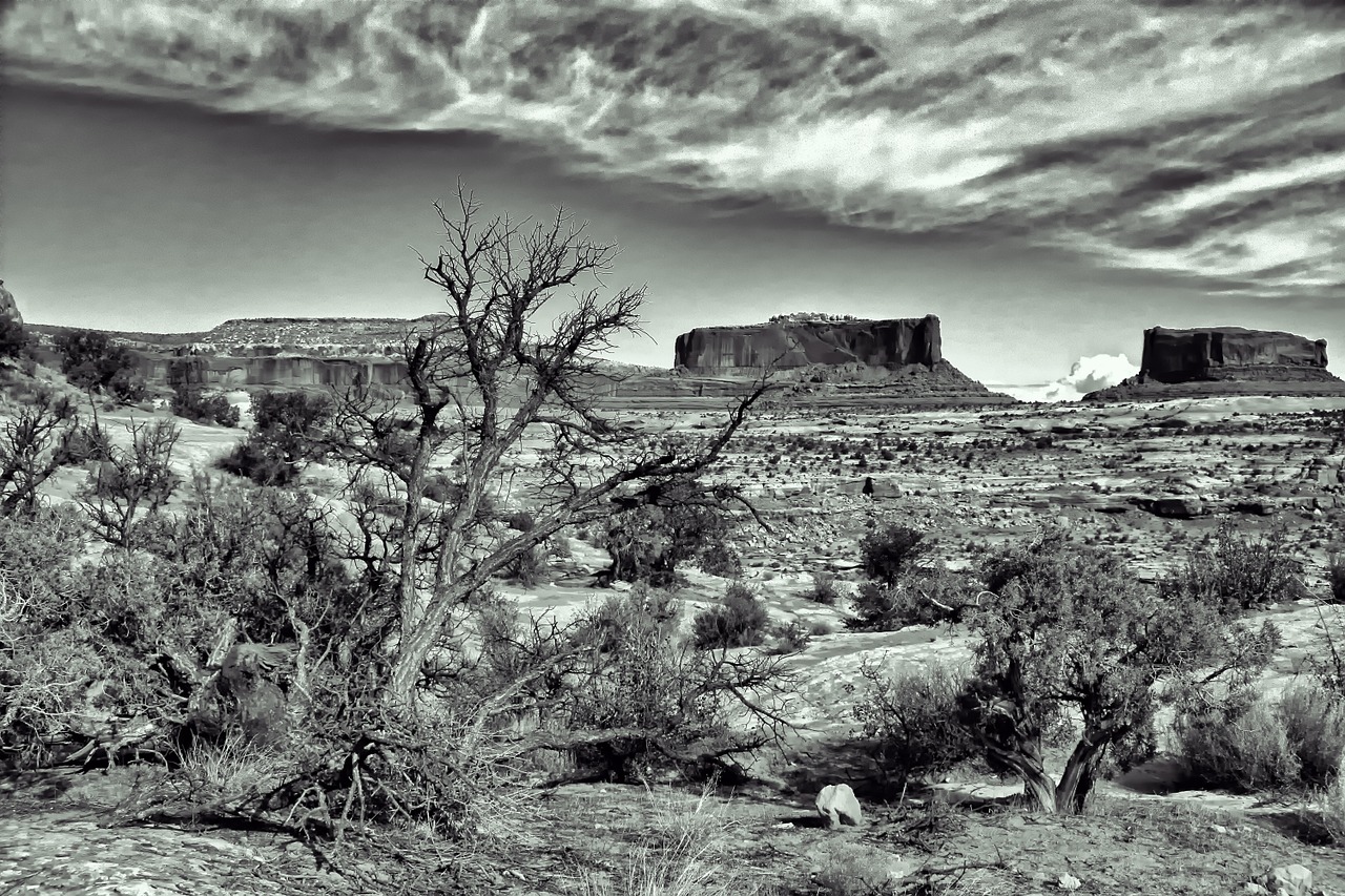 dramatic spooky desert free photo