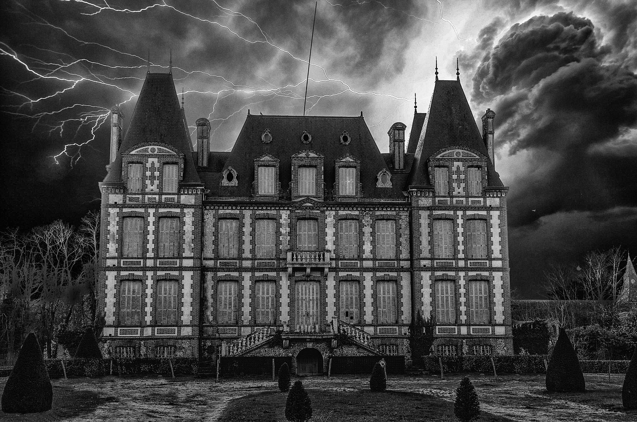 dramatic  black and white  scary free photo