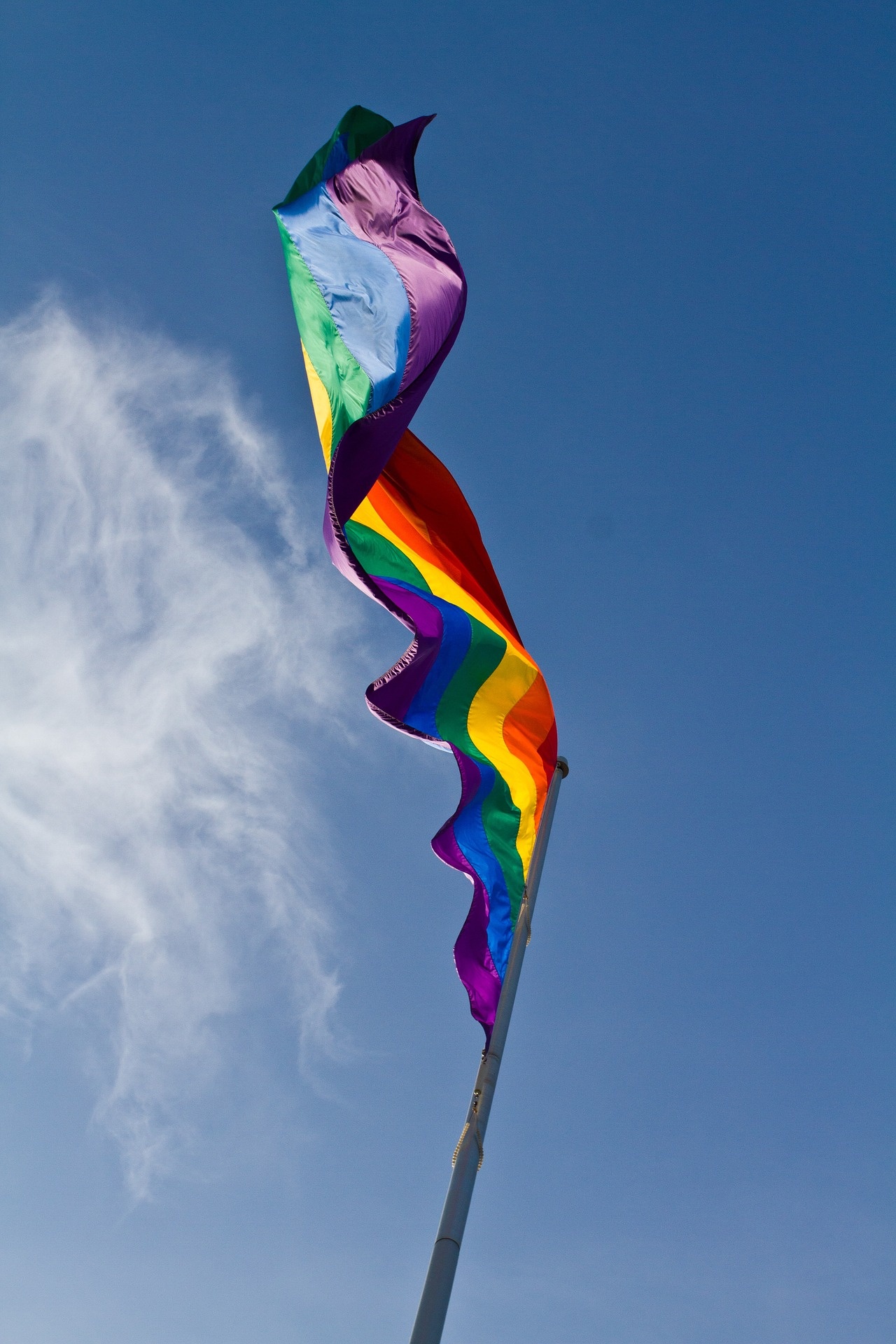 rainbow flag pride free photo